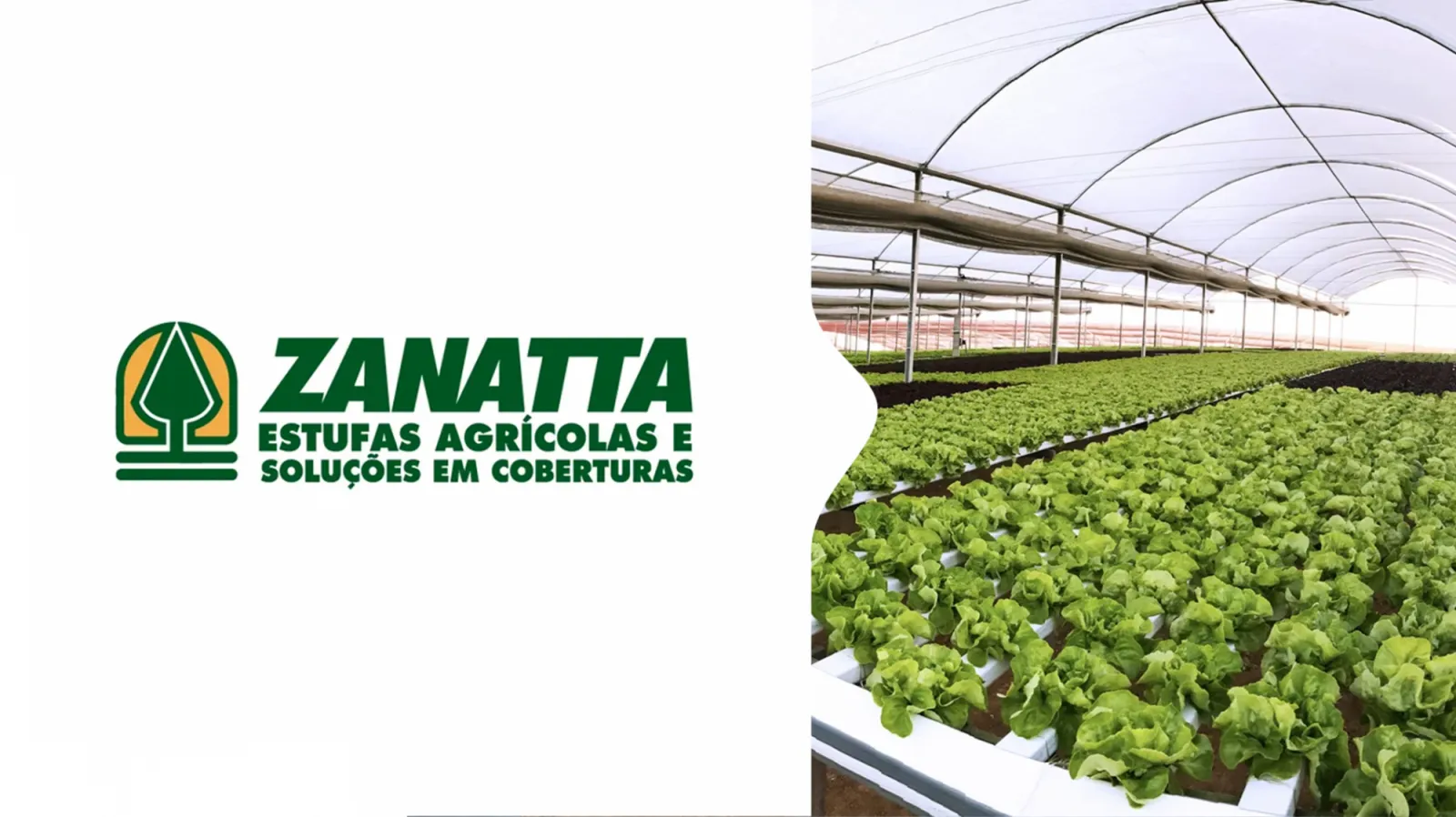 Case de Sucesso | Zanatta Estufas Agrcolas