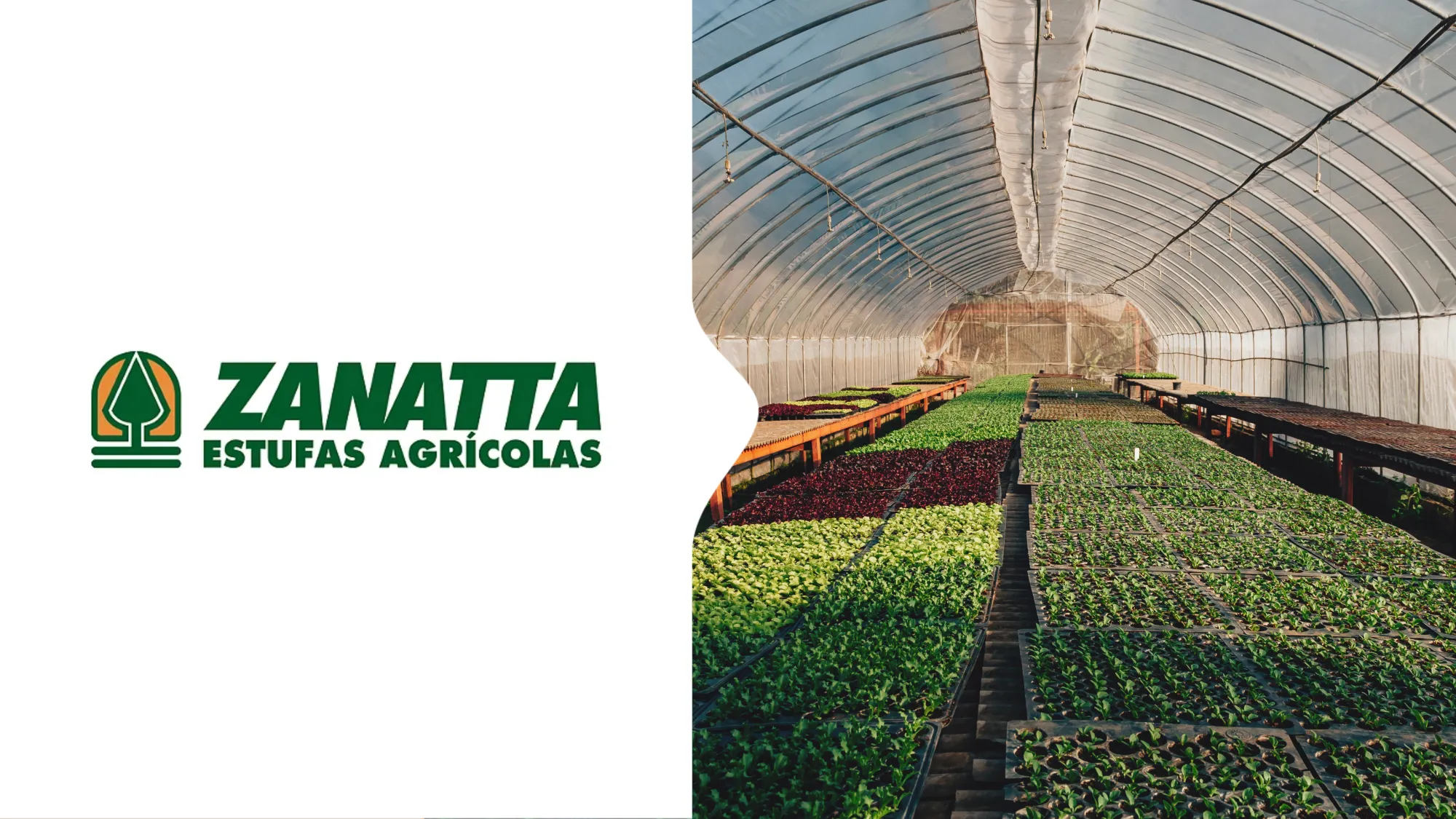 Case de Sucesso | Zanatta Estufas Agr�colas