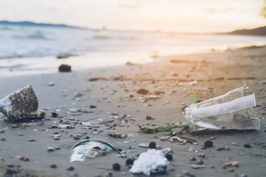 Semana Mundial do Meio Ambiente