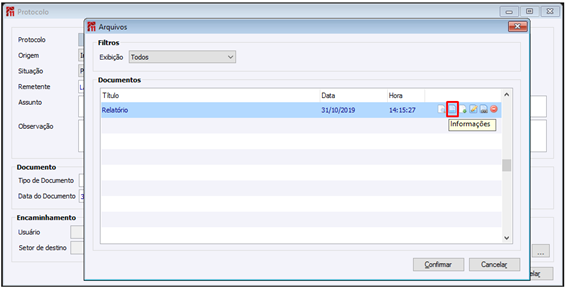 ProtocoloInformacoes
