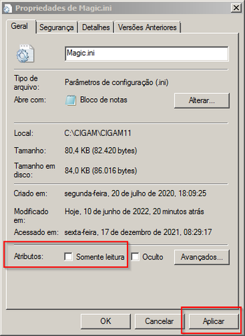 MagicINIPropriedadesSomenteLeitura.png