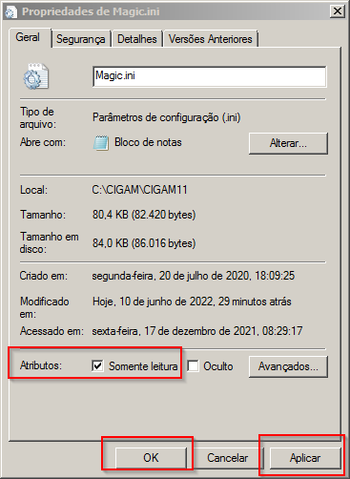MagicINIPropriedadesSomenteLeituraMarcada.png