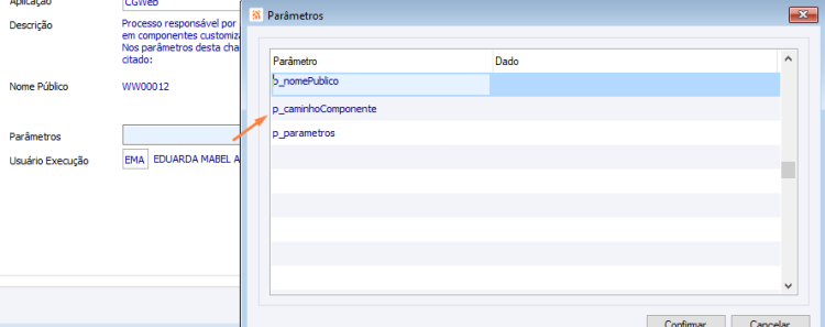 ParametrosFuncionalidadeCustomizada.png